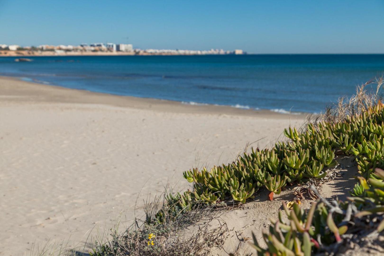 Apartment Perla Ii Alicante