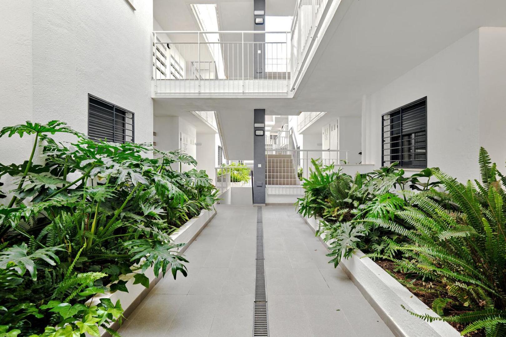 Apartamento Perla Ii